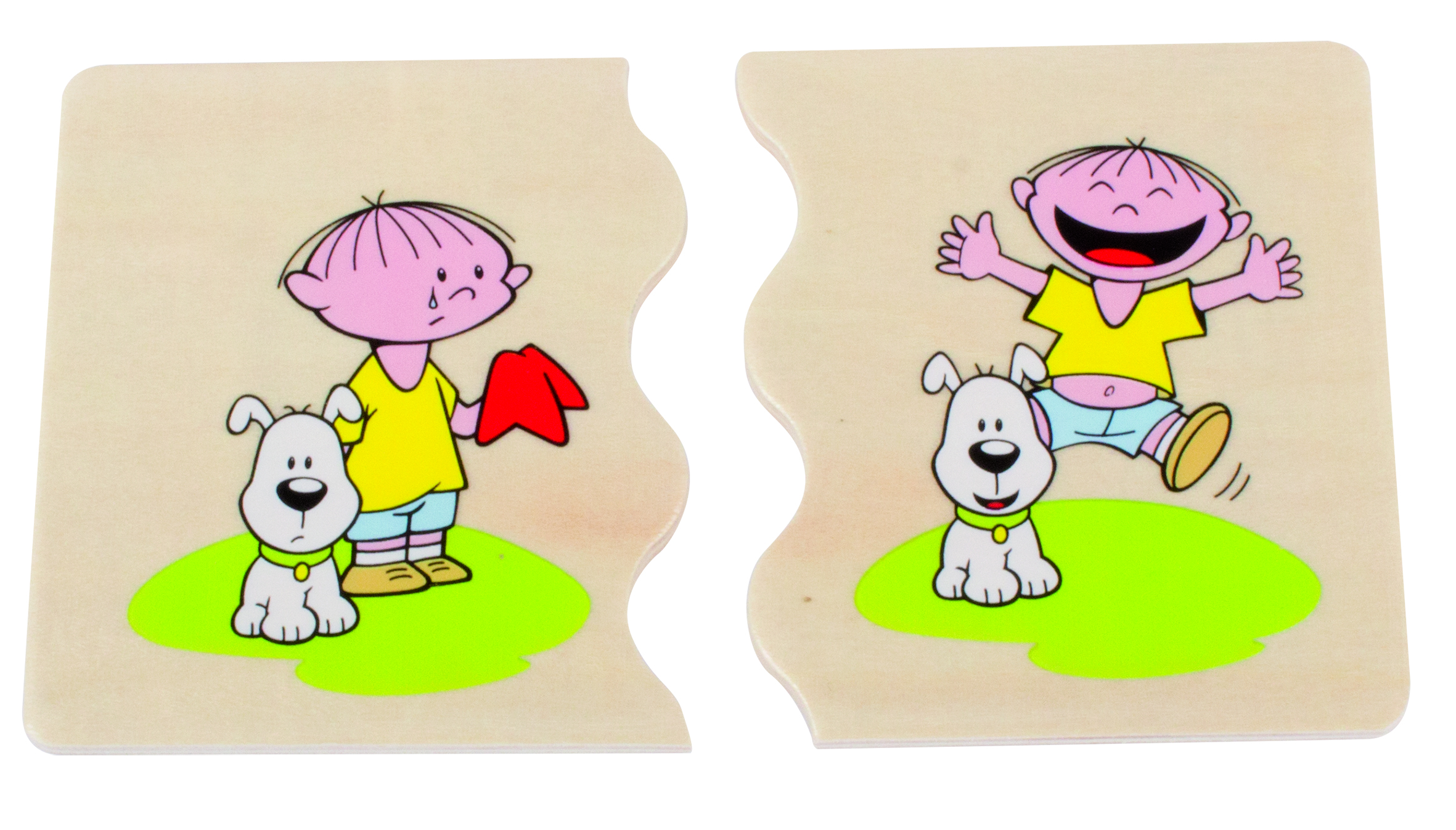 11520-5-product-picture-300DPI-CMYK COGNITO „GEGENSÄTZE“